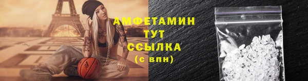 шишки Пестово